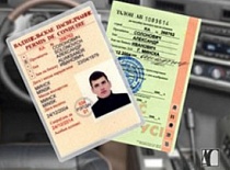 Новые водительские удостоверения с голографической защитой появятся в Беларуси не позднее 1 июля 2010 года